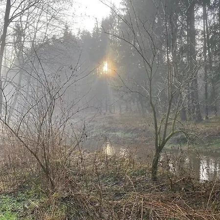 Ferienwohnung Am Waldesrand