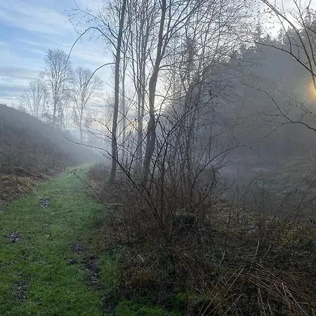 Ferienwohnung Am Waldesrand * Büchlberg